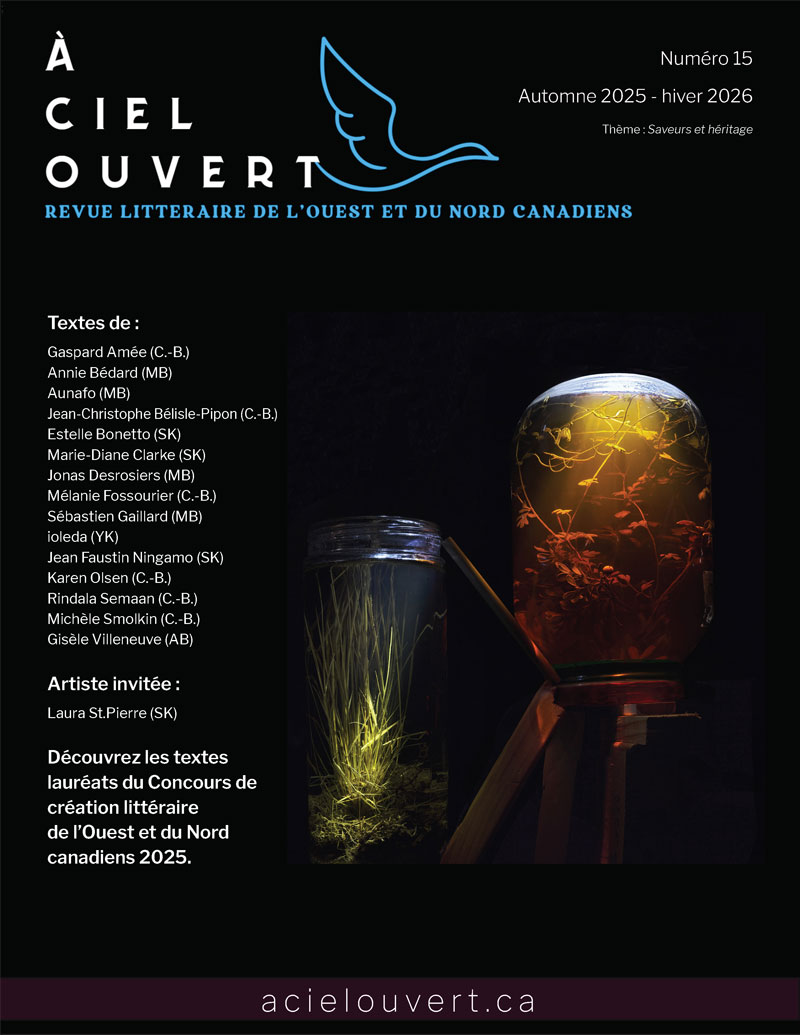 À ciel ouvert numéro 15